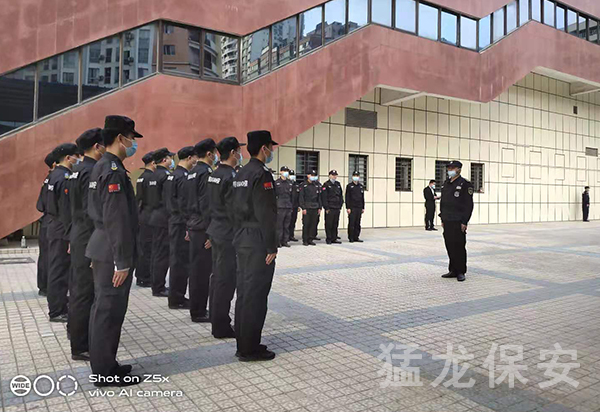 正規麻豆AV在线观看